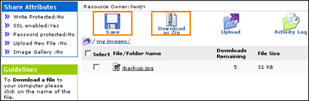 File Sharing