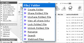 online storage manager