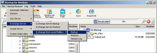 Brick-Level Mailbox Backup