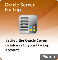 Oracle Server Backup