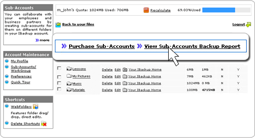 remote backup web manager