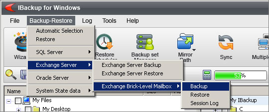 Brick-Level Mailbox Backup