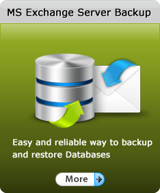 MS Exchange Server Backup