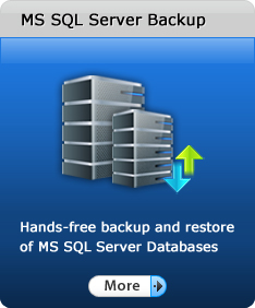 MS SQL Server Backup