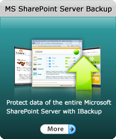 SharePoint Server Backup