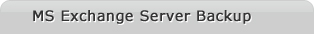 MS Exchange Server Backup