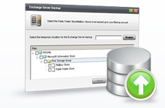 MS Exchange Server Backup