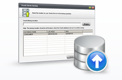 Oracle Server Backup