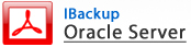 IBackup Oracle Server