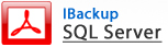 IBackup SQL Server