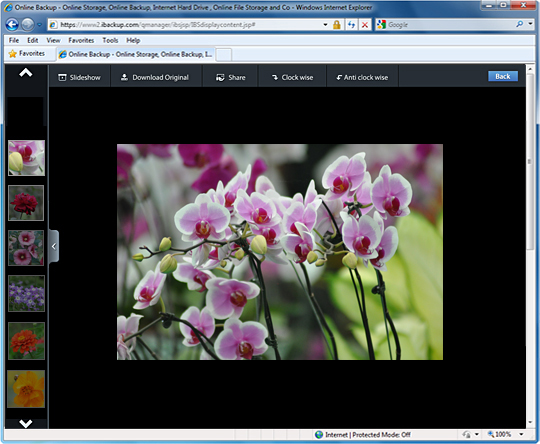 Image Gallery