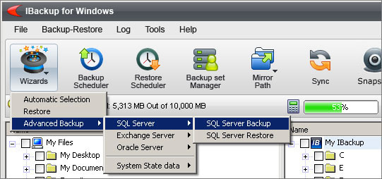SQL Server Backup