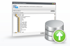 MS SharePoint Server Backup