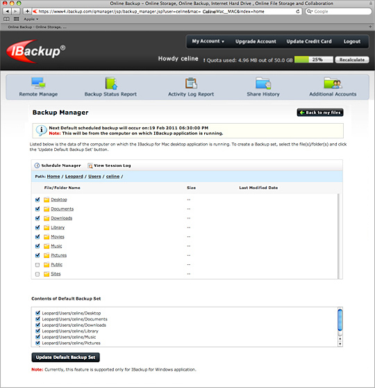 Web-based online backup management